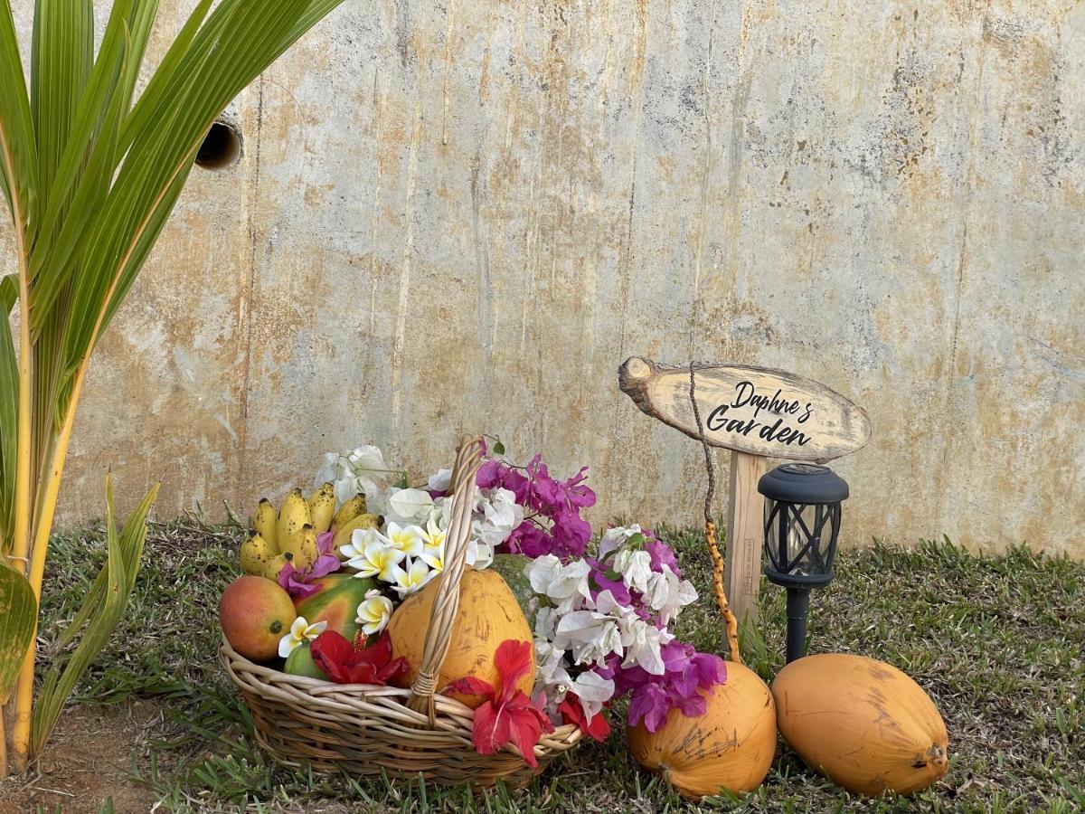 B Holiday Apartments Beau Vallon  Bagian luar foto